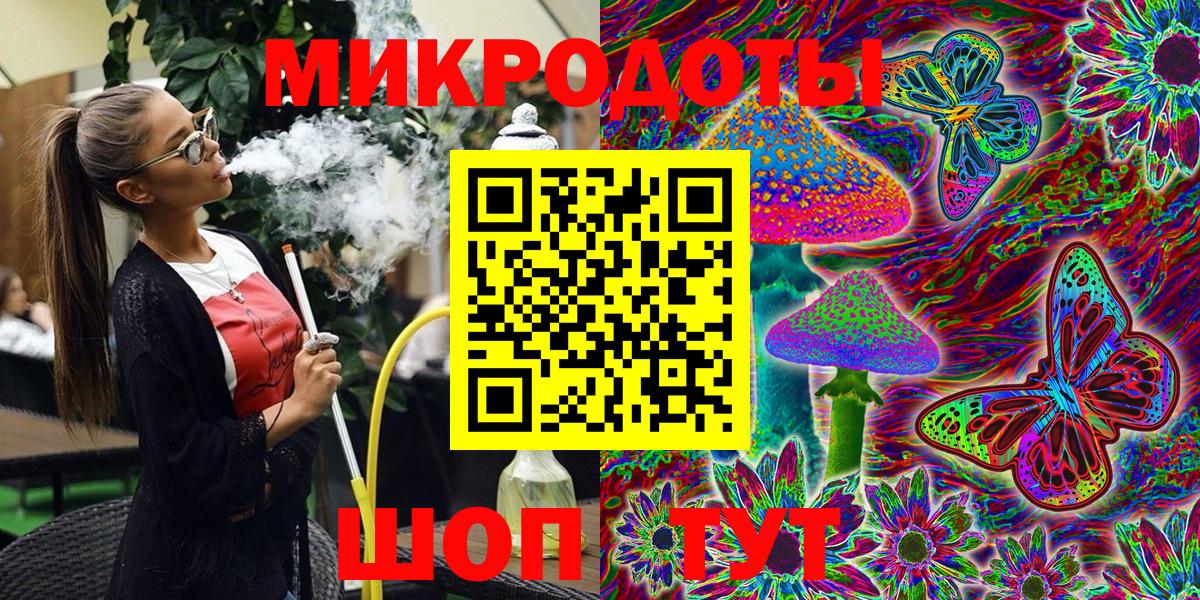 Галлюциногенные грибы Psilocybine cubensis Зеленогорск