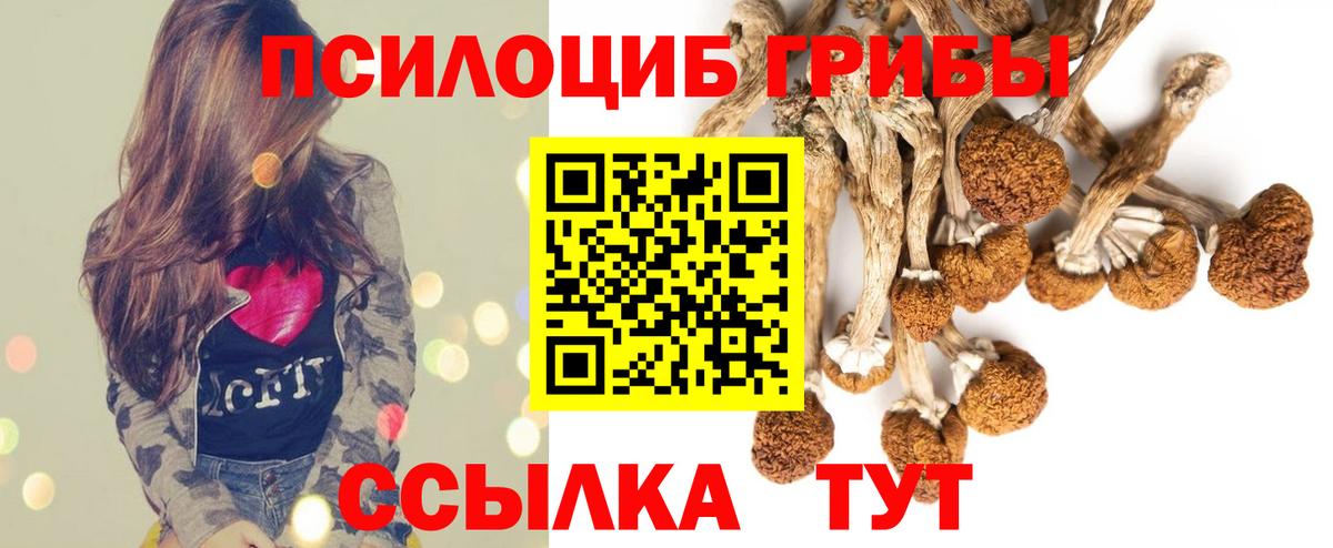 Галлюциногенные грибы ЛСД  наркотики  Зеленогорск  Вход с VPN 